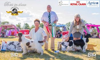 Springerklubbens Club show